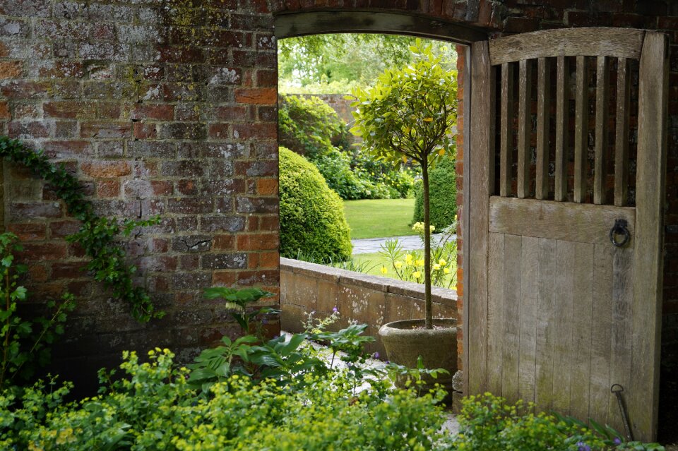 Wall garden by looking
