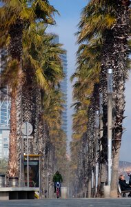 Street cycling beach