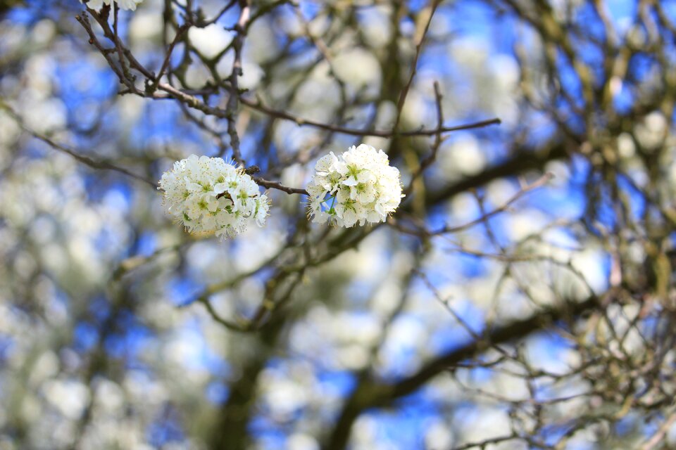 Spring colors green