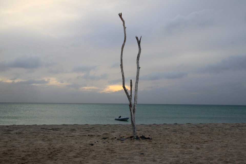 Morabeze sea nature