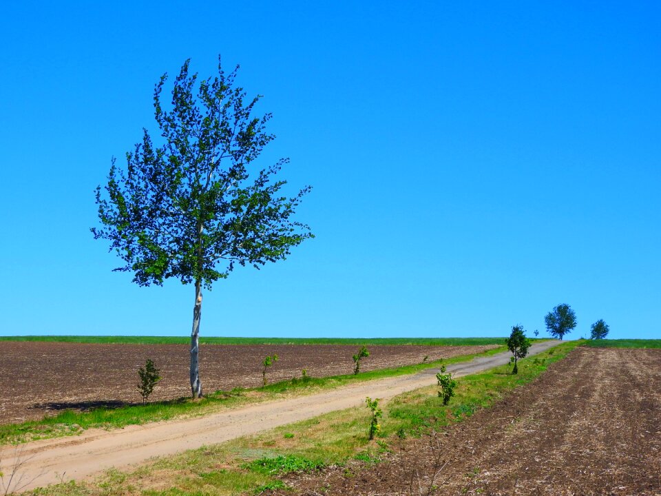 Nature field horizon