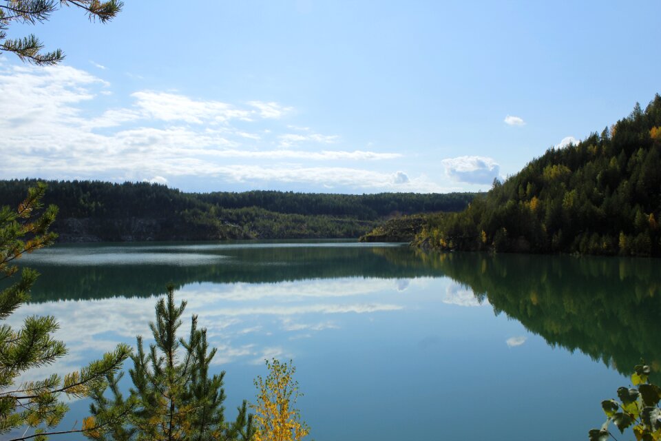 Forest russia sverdlovsk oblast