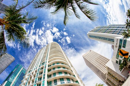 Cities miami Free photos