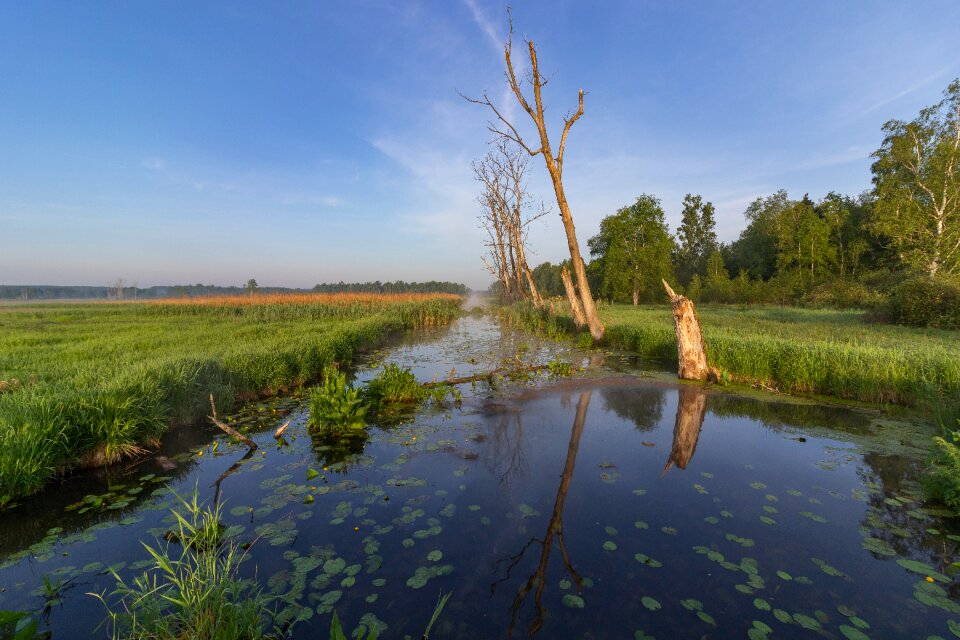 Waters nature landscape