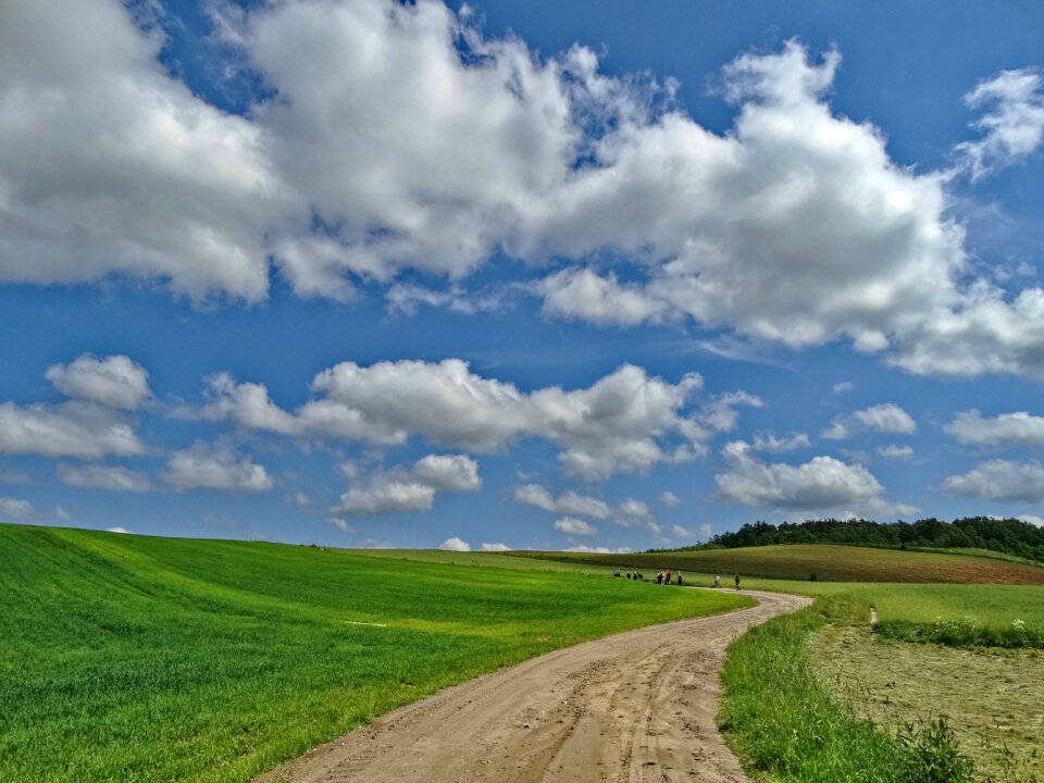 Village nature field