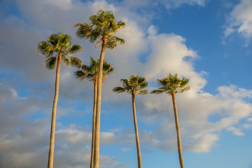 Landscape sky clouds