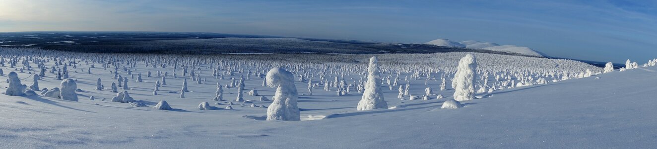 The lapland lapland winter