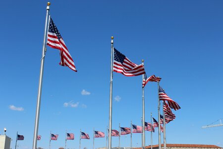 C flag american photo