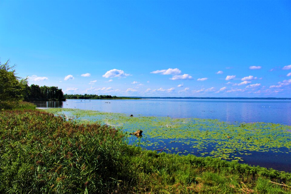 Chiemsee nature reserve view