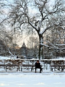 Park park bench tree photo