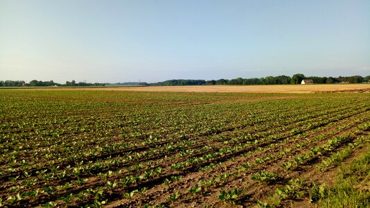 Landscape agricultural land Free photos
