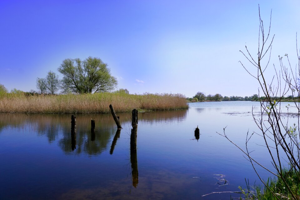 Summer time summer lake