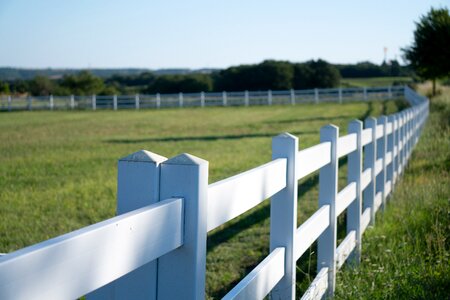 Green farm rural photo