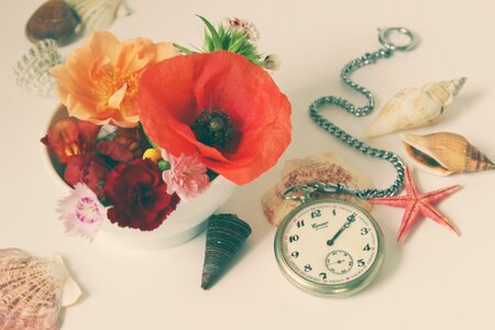 Pocket watch summer time time conversion photo