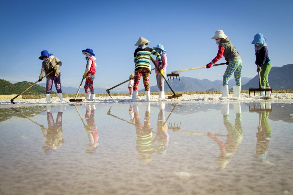 Salt making salt makers