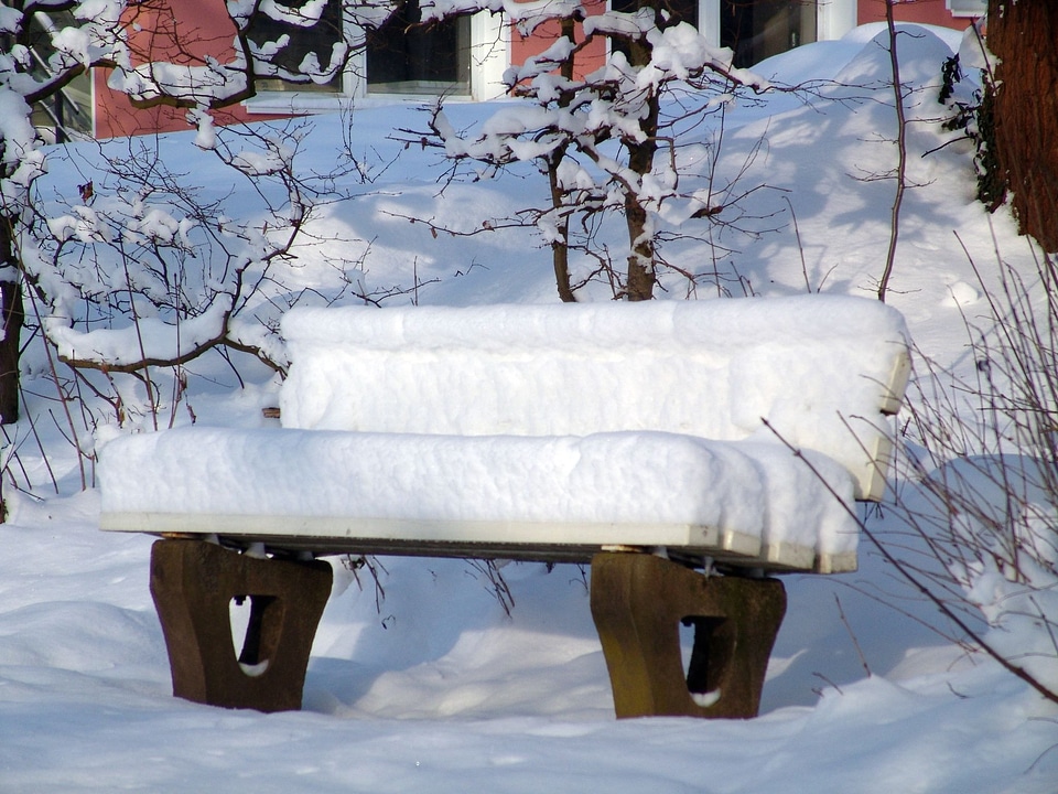 Snowy white winter magic