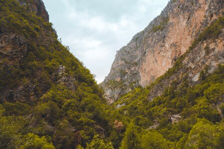 Nature park forest