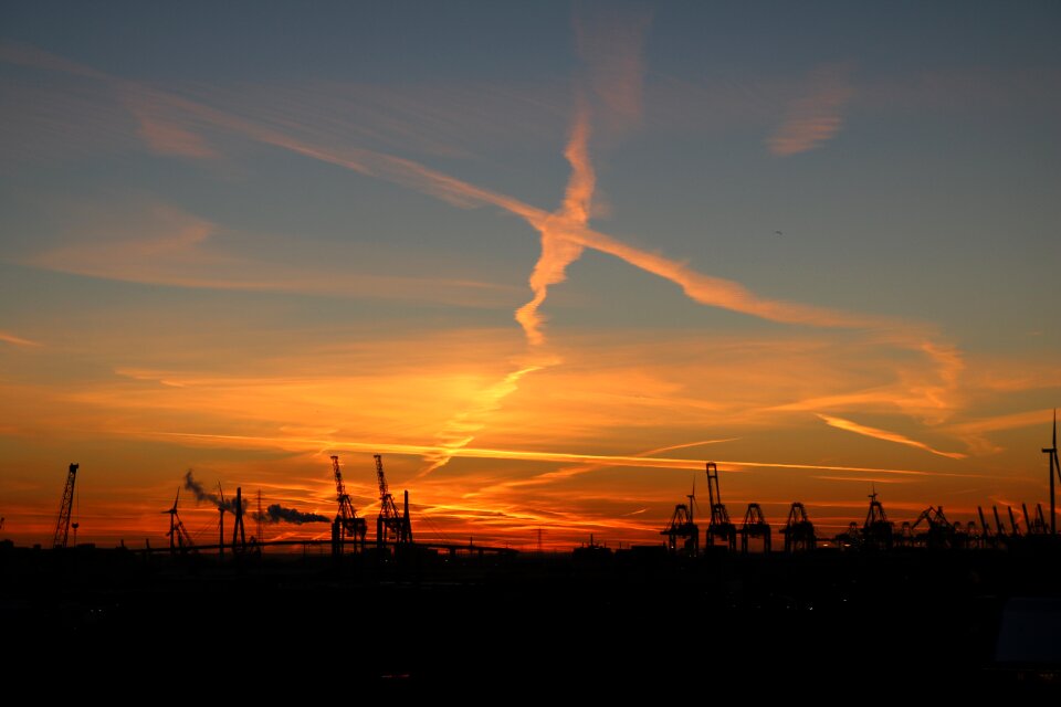 Cranes evening sunset