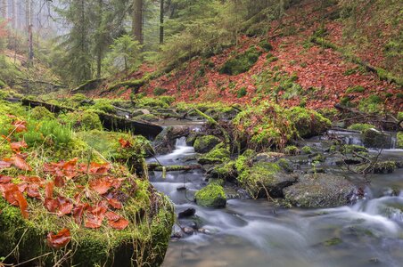 Nature water river