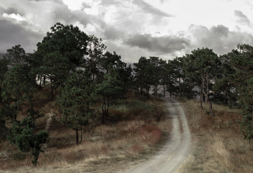 Nature trees clouds