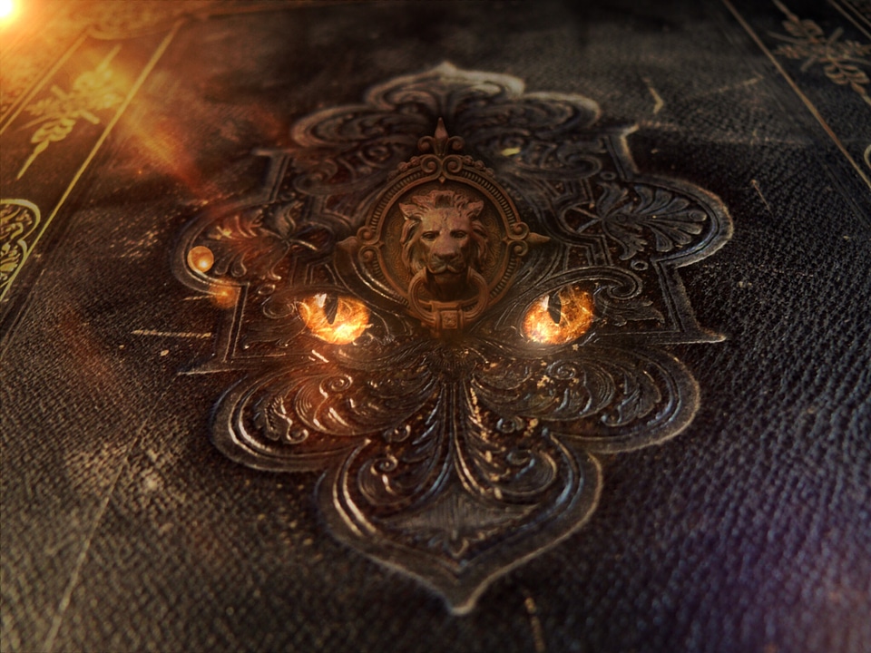 Ornaments eyes lion head
