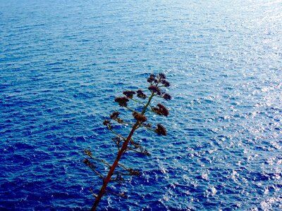 Summer water nature