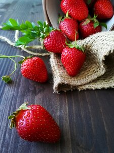Fresh berry healthy photo