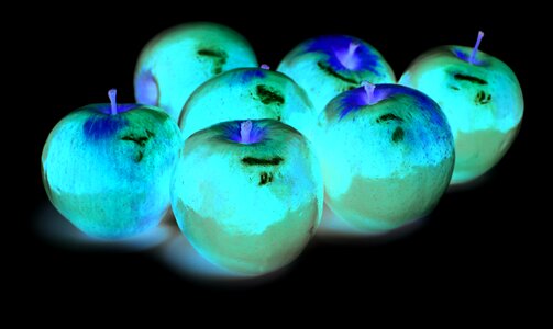 Apples fruit Free photos