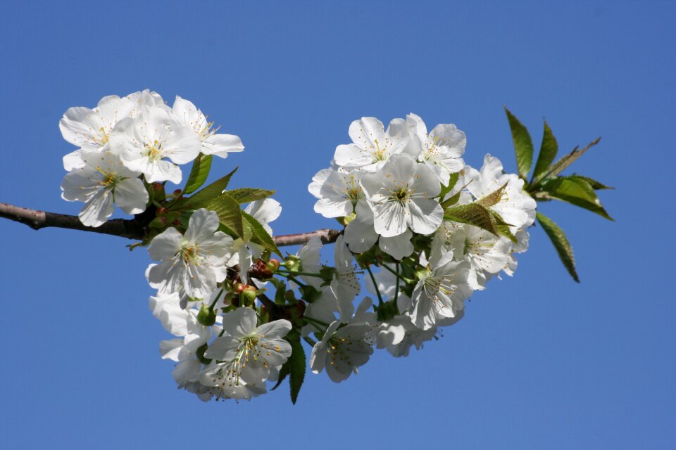 White sky blue