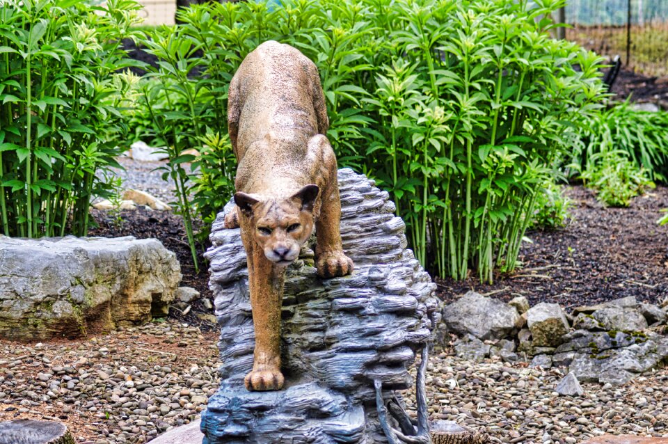 Sculpture lion statue