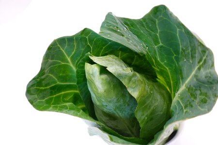 Vegetables green healthy