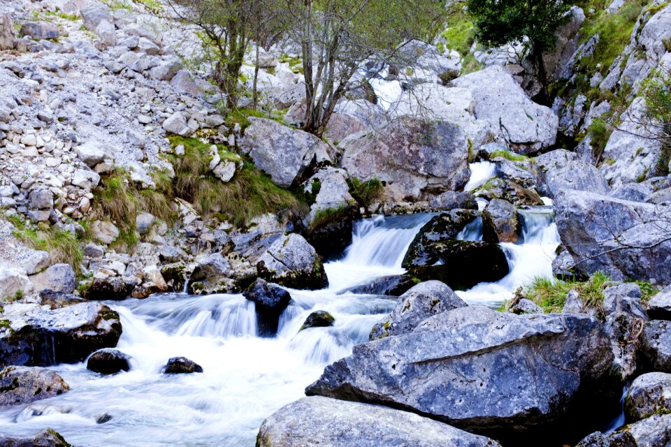 Bulnes trail nature