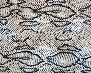 Texture fabric textile photo
