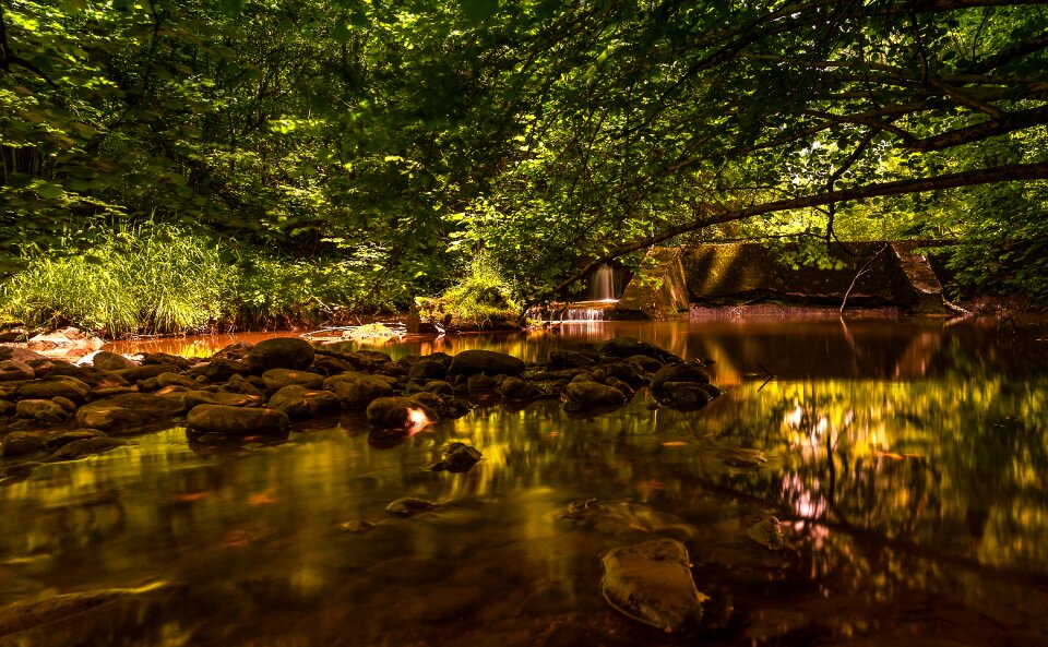 Green idyll mirroring