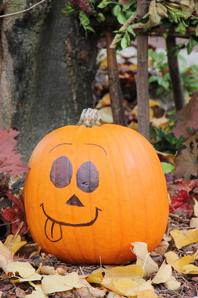 Halloween autumn orange