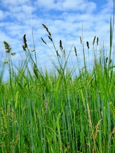 Blue agriculture fields