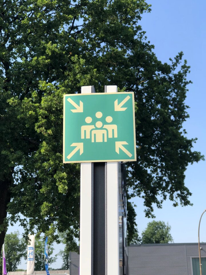 Tree road in the free