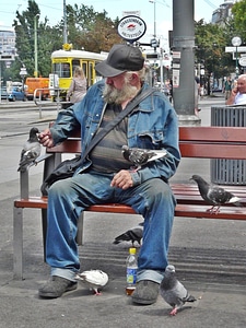 Human person sit photo