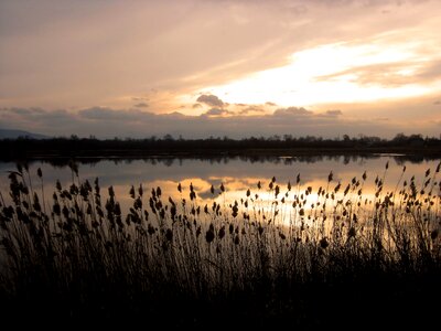 Mirror sunset clouds