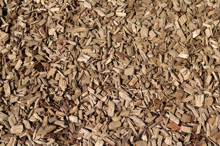 Chips ground structure