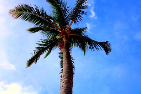 Warm dominican republic beautiful