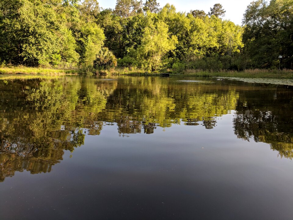 Nature outdoors rippled