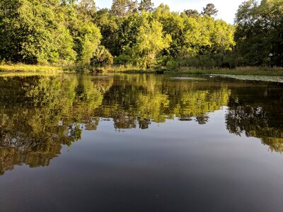 Nature outdoors rippled