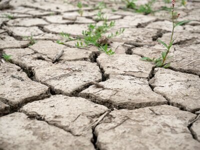Dehydrated drought texture
