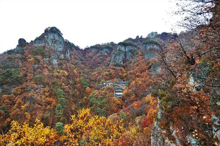 Fenghua autumn leaves section