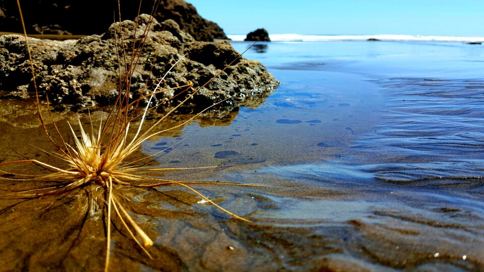 Sea tide ebb