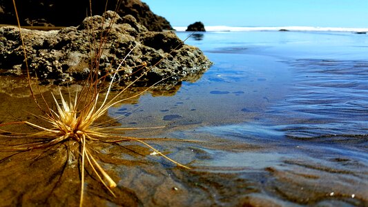 Sea tide ebb photo