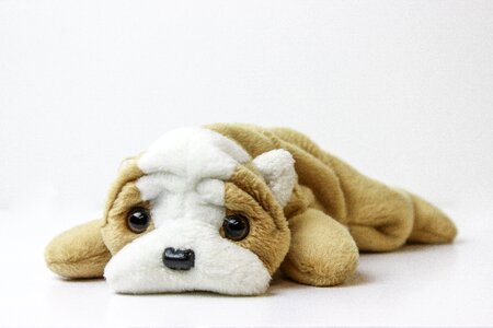 Plush toy dog brown photo