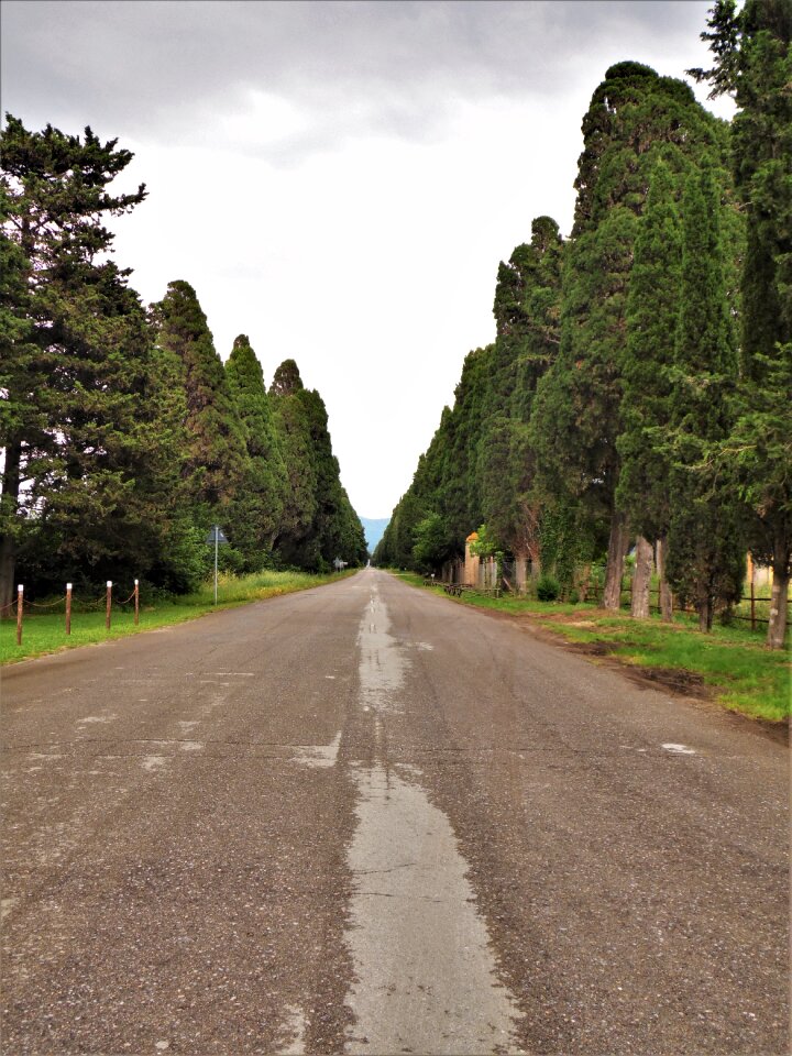 Mediterranean avenue clouds