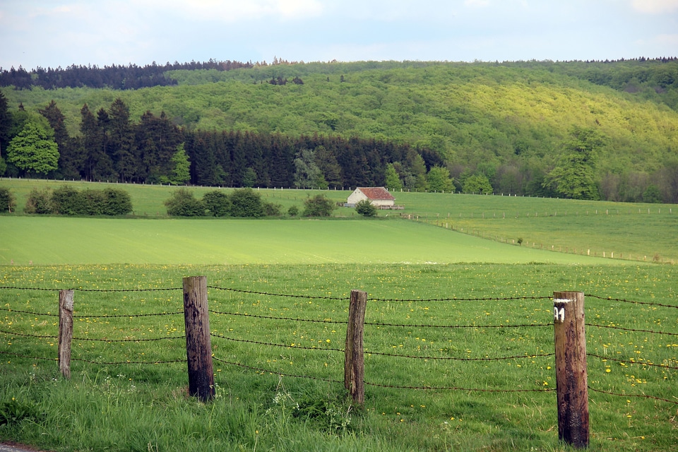 Fence forest teutoburg forest